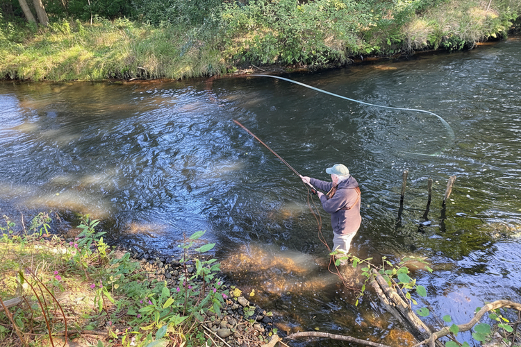 Stuart Longhurst fly fishing a sea trout stream in Lower Saxony with a trout Spey rod, managing rheumatoid arthritis on the water