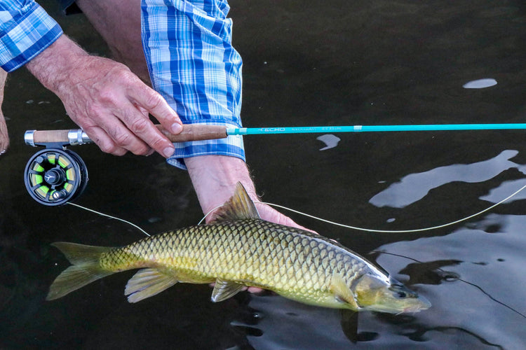 ECHO Glass Fly Fishing Rods – S2 & Fast Glass – Balticflyfisher