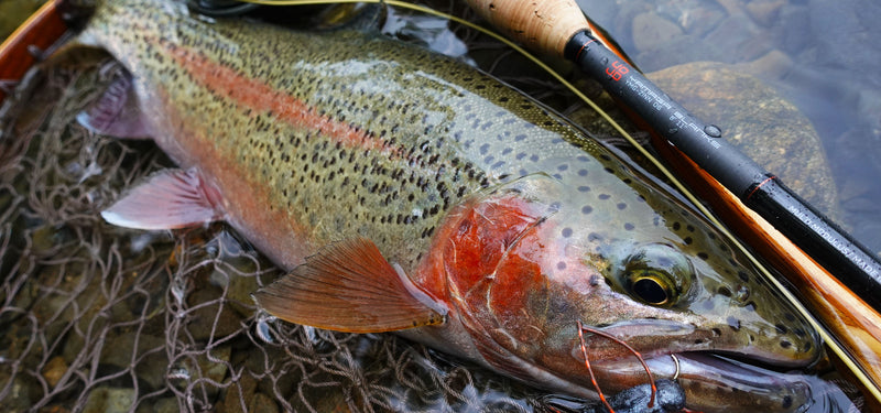 Load image into Gallery viewer, YAMAGA ZINN 8&#39;11&quot;/272cm #6 Weight - Premium Freshwater Flyrod
